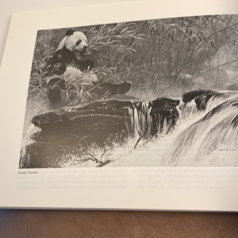 Portraits of nature paintings by Robert Bateman book - Picture 3 of 13